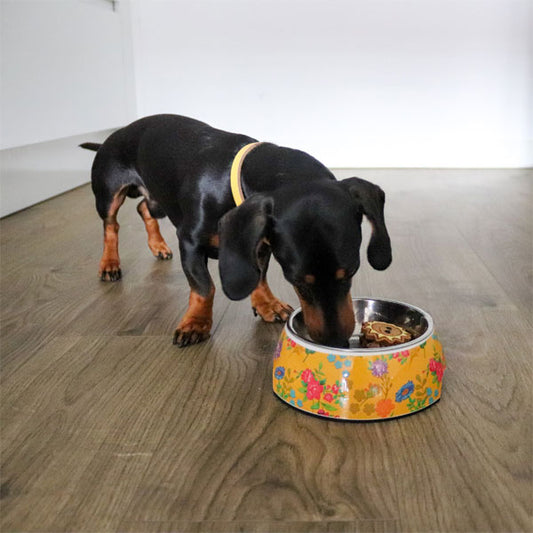 GOLDENWAY feeding bowl with flower design