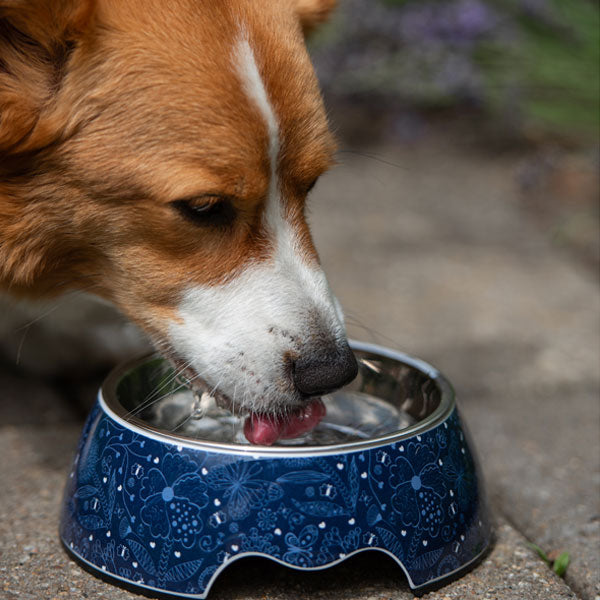 GOLDENWAY feeding bowl with flower design