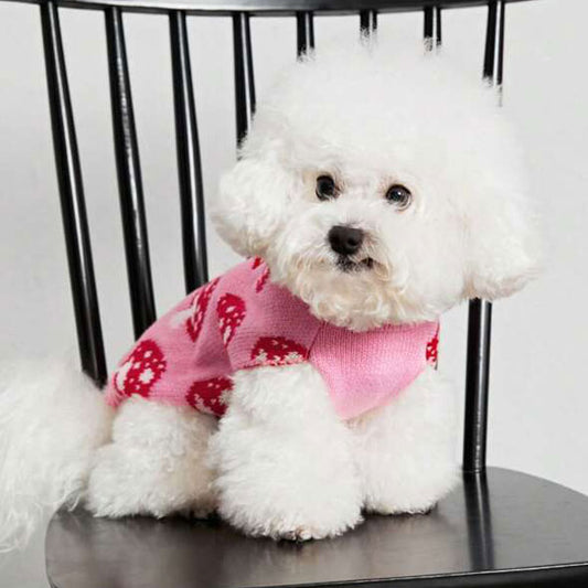 GOLDENWAY Pullover Fliegenpilz