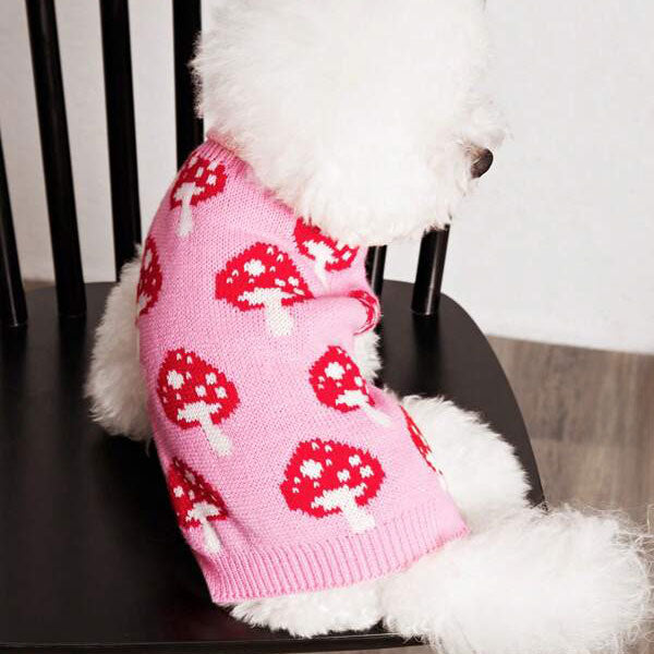 GOLDENWAY fly agaric sweater