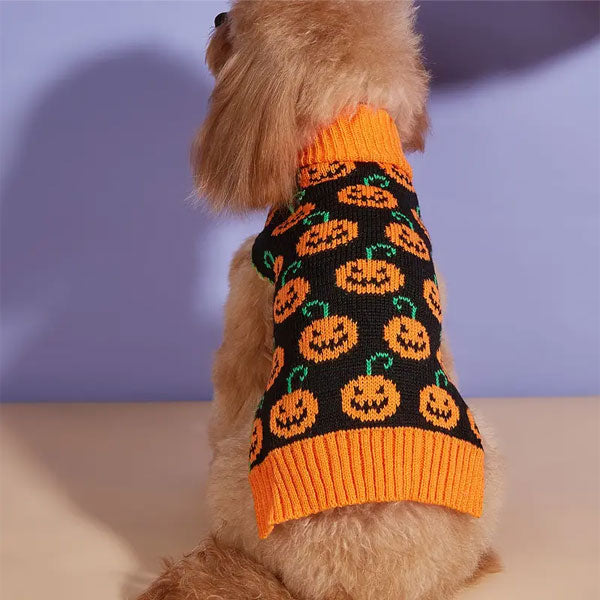 GOLDENWAY Sweater Pumpkin