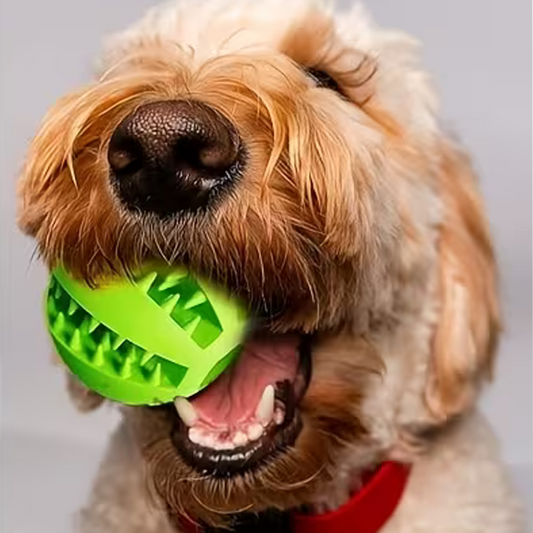 GOLDENWAY Snack Ball