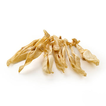 GOLDENWAY rabbit ears without fur