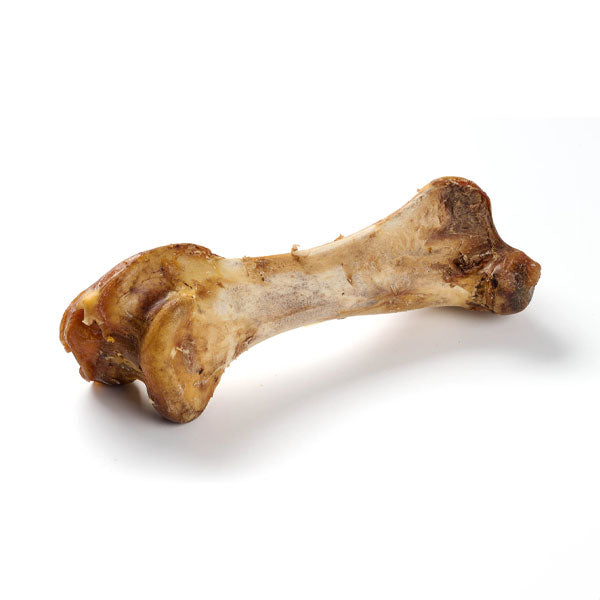 GOLDENWAY ostrich bones XXL