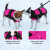 GOLDENWAY jacket with plush collar
