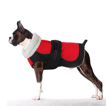 GOLDENWAY jacket with plush collar