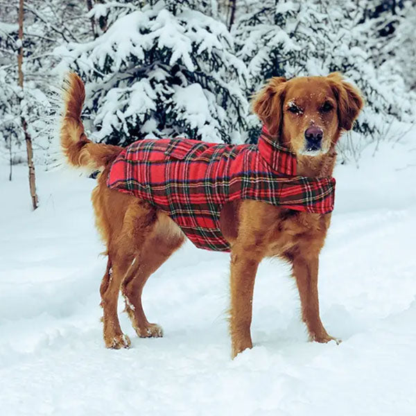 GOLDENWAY checked jacket