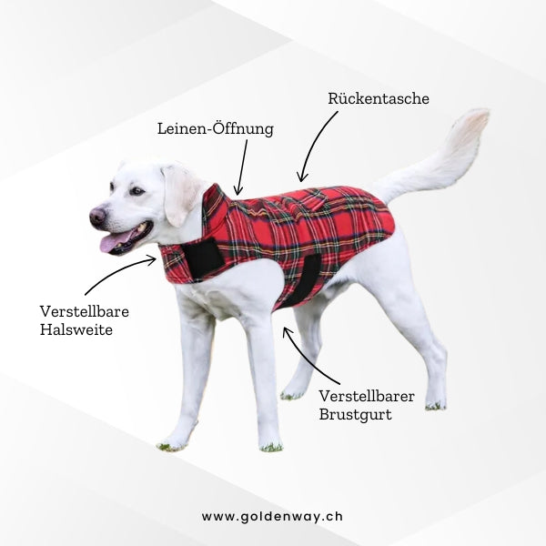 GOLDENWAY checked jacket