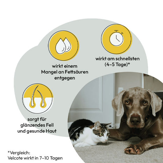 GRAU Hokamix30 Skin & Shine