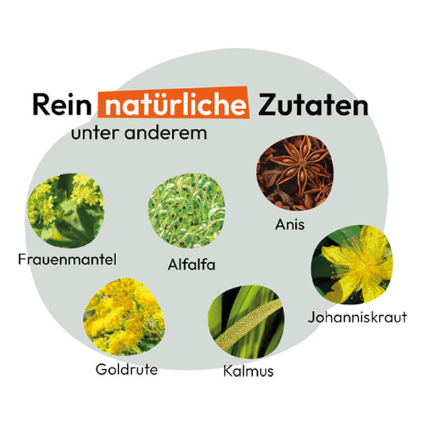 GRAU Hokamix30 Classic Powder