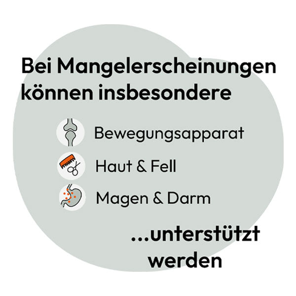 GRAU Hokamix30 Classic Powder