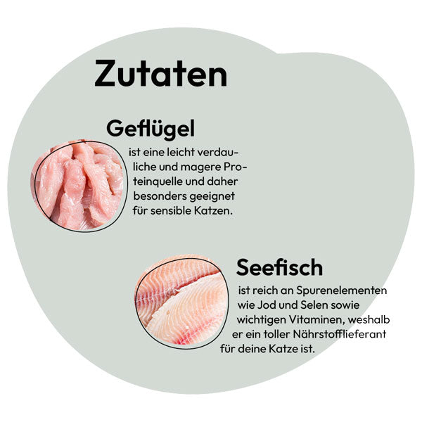 GREY Cat Adult Poultry and Sea Fish