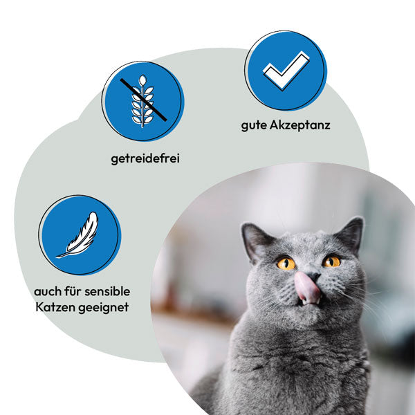 GREY Cat Adult Poultry and Sea Fish