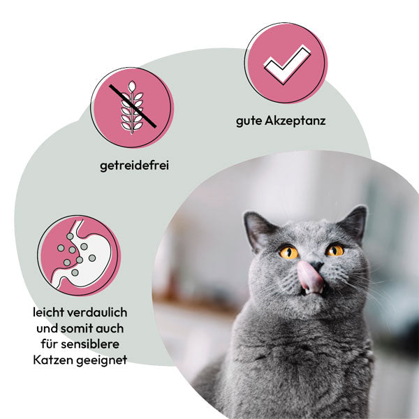 GREY Cat Adult Chicken and Veal