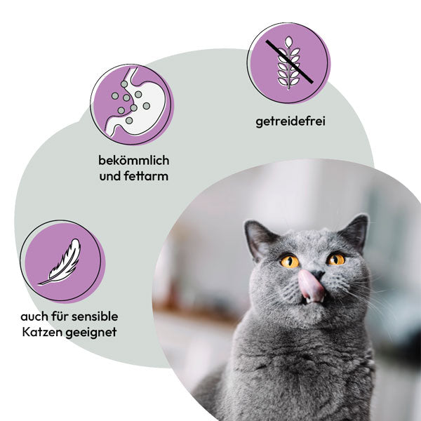 GREY Cat Adult Chicken and Turkey Hearts