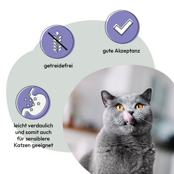 GREY Cat Adult Turkey, Chicken and Duck