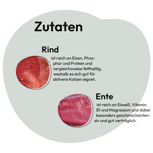 GREY Cat Adult Beef and Duck