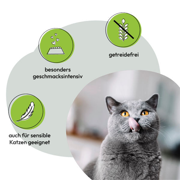 GREY Cat Adult Beef and Duck