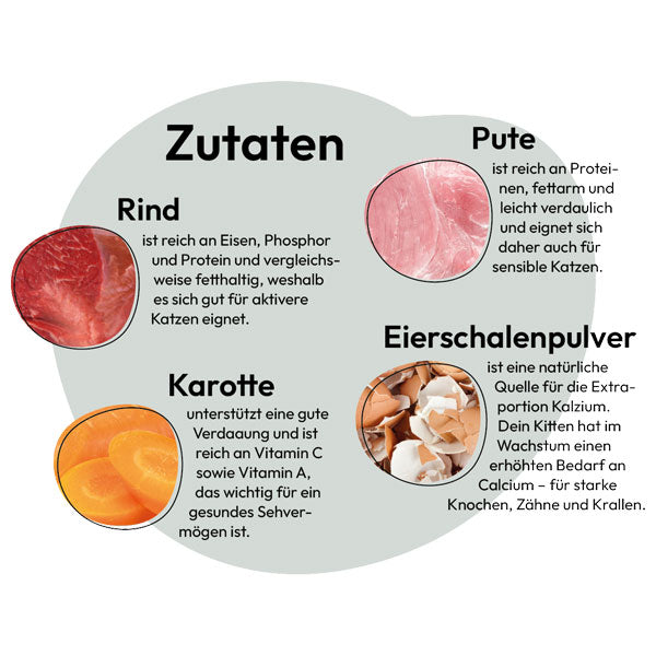 GREY Cat Kitten Beef, Turkey &amp; Carrots