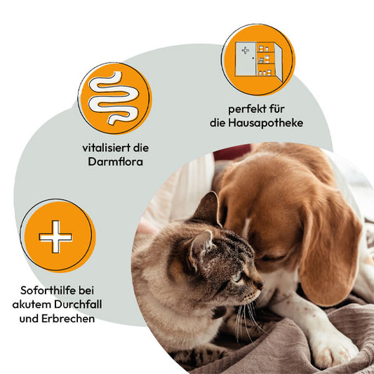 GRAU Sanofor Naturmoor