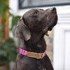 HIRO &amp; WOLF collar Inka 