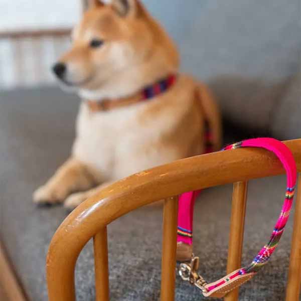 HIRO &amp; WOLF City Leash Inka