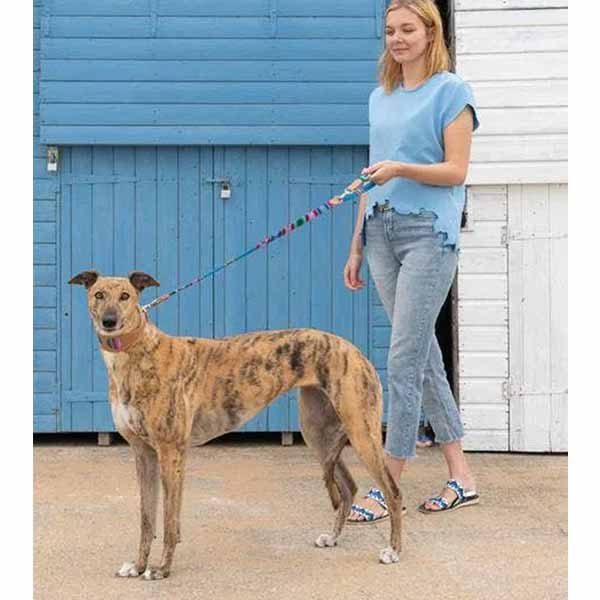 HIRO &amp; WOLF City Leash Inka