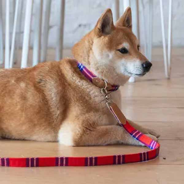 HIRO &amp; WOLF City Leash Shuka