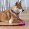 HIRO &amp; WOLF City Leash Shuka
