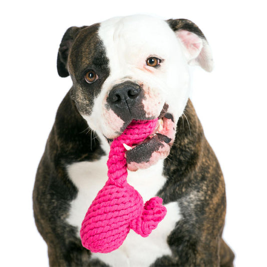 LABONI Franzi Flamingo