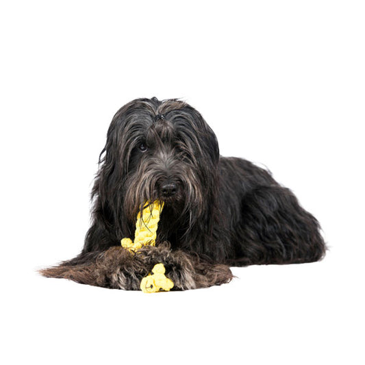 LABONI Gretchen Giraffe