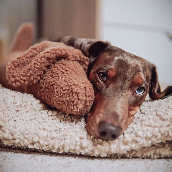 GOLDENWAY cuddly toy DOGGY with heartbeat