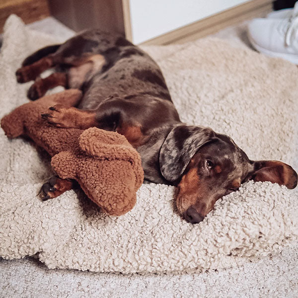 GOLDENWAY cuddly toy DOGGY with heartbeat