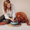 PINO anti-gulping bowl 