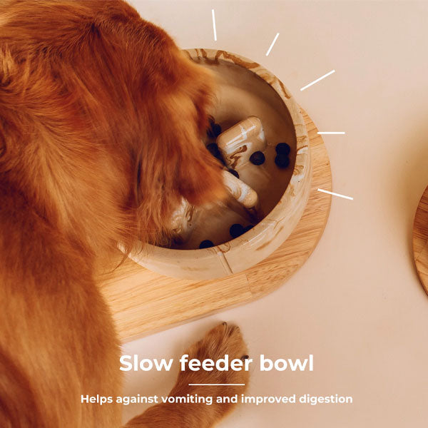 PINO anti-gulping bowl