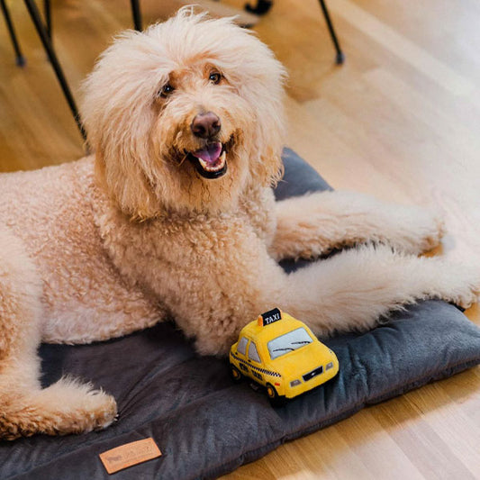 P.L.A.Y. New York Taxi