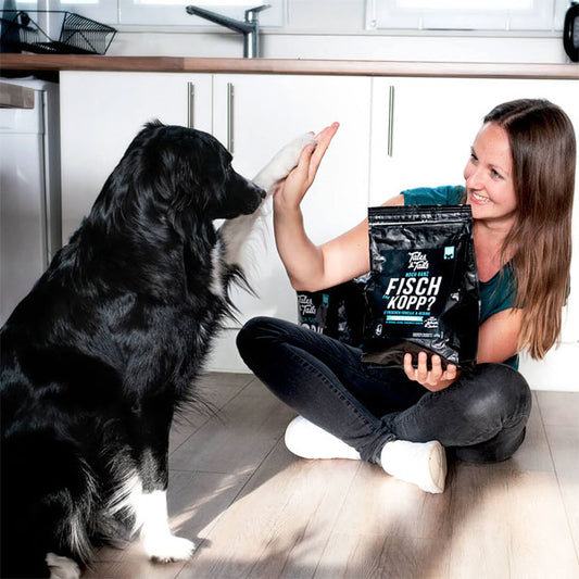 TALES & TAILS Noch ganz Fisch im Kopp?