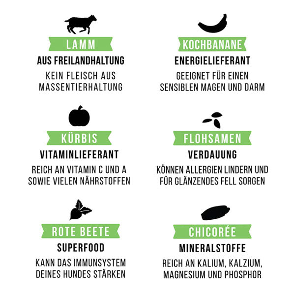 TALES &amp; TAILS LammBa Zamba!