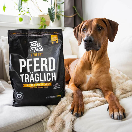 TALES & TAILS Perfekt PferdTräglich