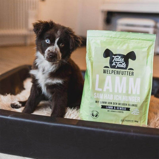 TALES & TAILS Junior Lammsam hab ich Hunger