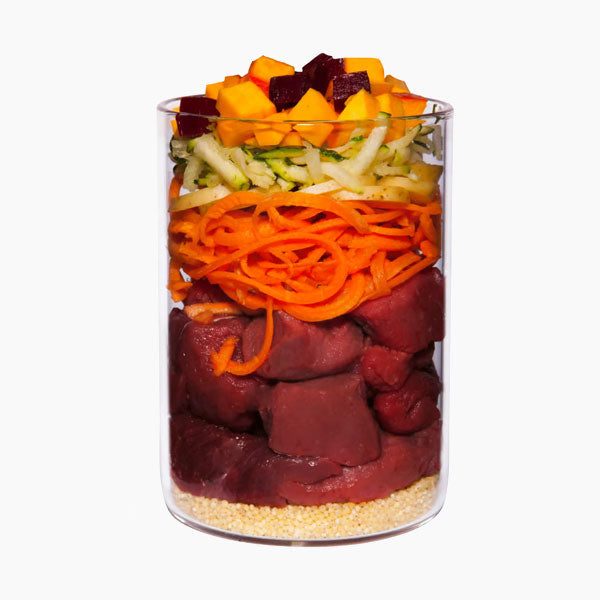 TERRA CANIS Adult Classic Menu Wild