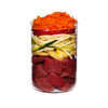 TERRA CANIS Menu Classique Adulte Sauvage
