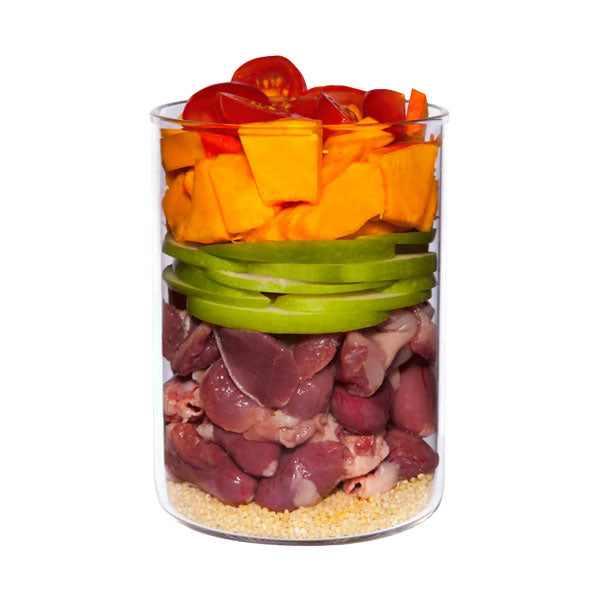 TERRA CANIS Junior Menu Poultry