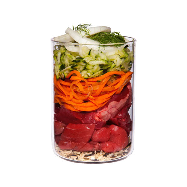 TERRA CANIS Junior Menu Lamb