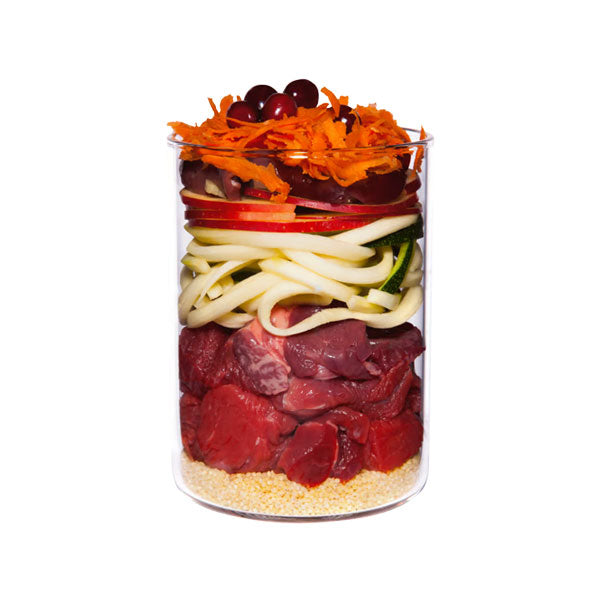 TERRA CANIS Junior Menu Beef