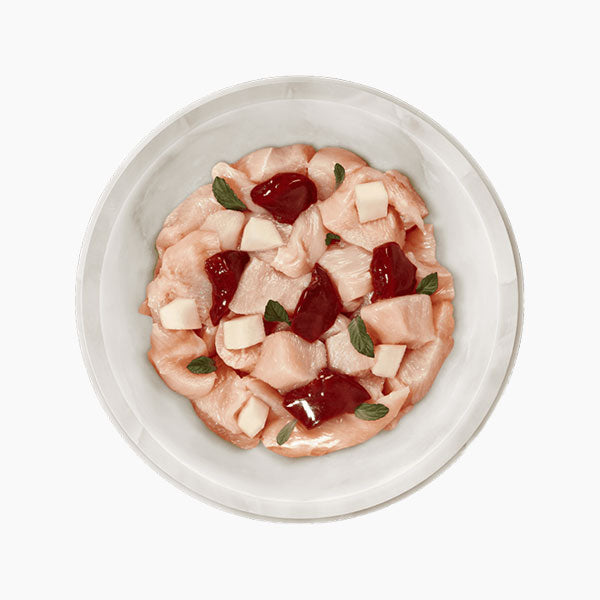 TERRA FELIS Adult Grain-Free Chicken