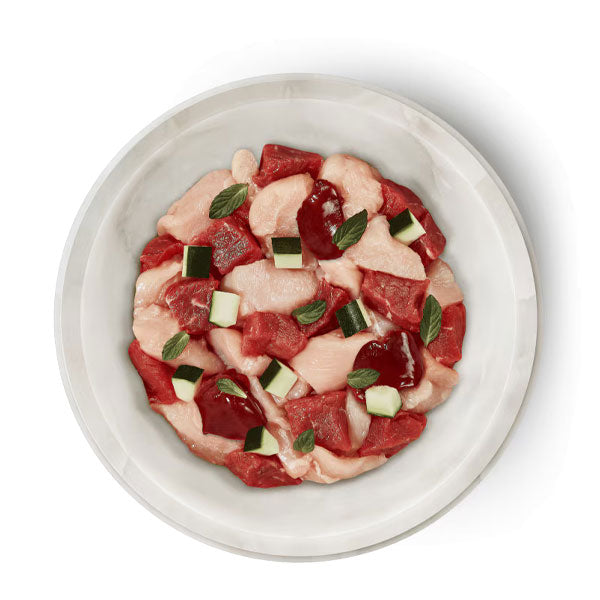 TERRA FELIS Adult Grain-Free Salmon