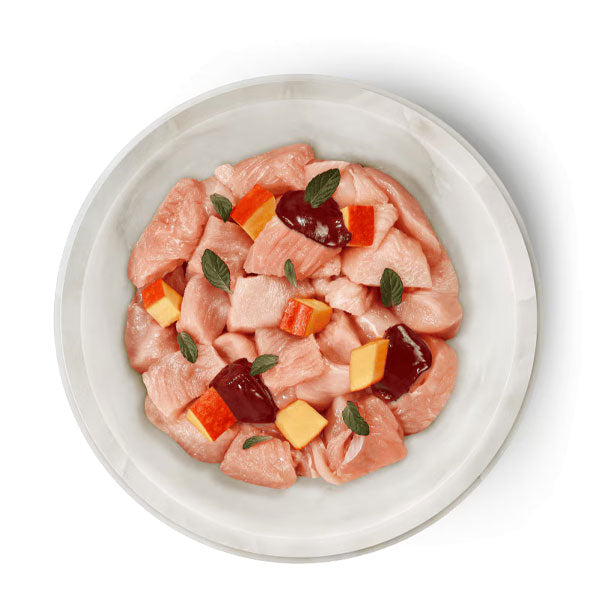 TERRA FELIS Adult Grain-Free Salmon