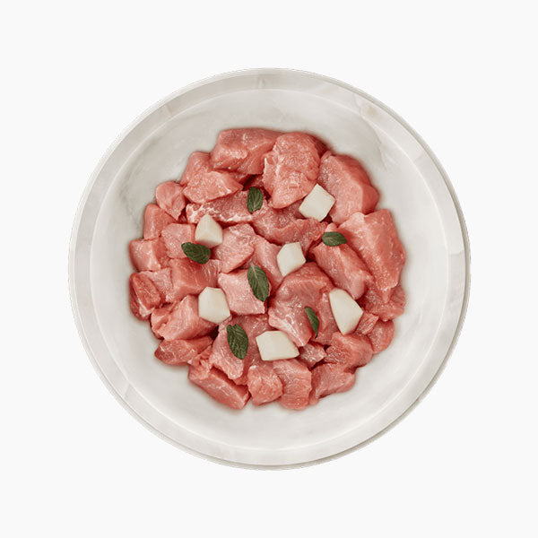 TERRA FELIS Adult Grain-Free Rabbit