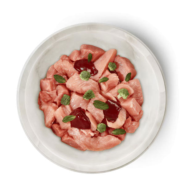 TERRA FELIS Adult Grain-Free Salmon